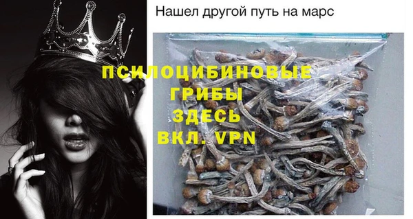 ешки Заводоуковск