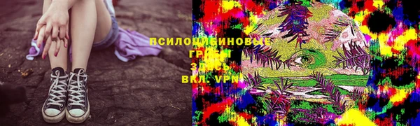 ешки Заводоуковск