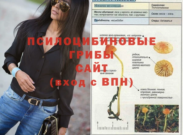 экстази Заволжск