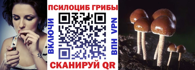 Купить закладки  Белогорск  Псилоцибиновые грибы Psilocybe 